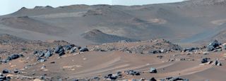 reddish-brown landscape of sand and rocks