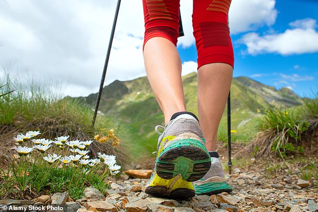 Nordic walking involves the use of many more muscle groups than normal walking, so it is good for you