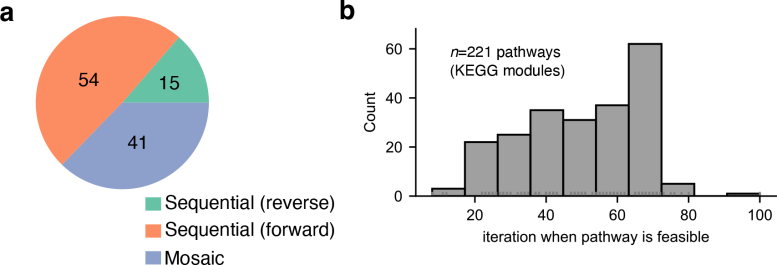 The timing of the emergence of metabolic pathways