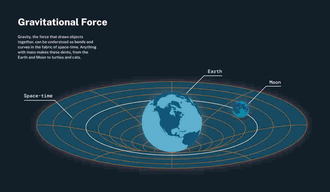 This figure explains the force of gravity, also known as 