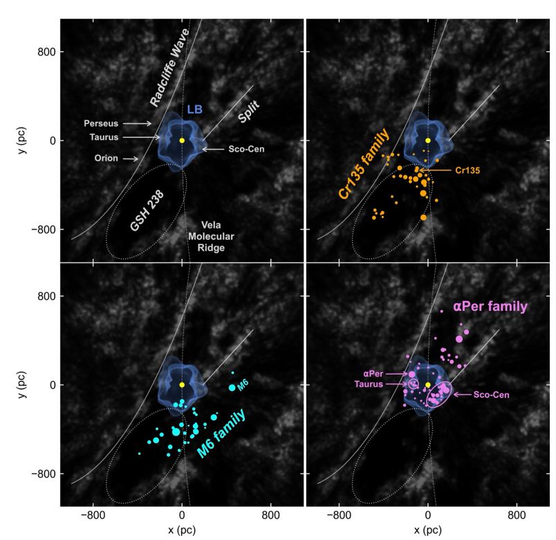 This research image shows three star cluster families and other local features on a dust map.  The dust is shown in gray and two prominent dust features, the Vela Molecular Ridge and the Radcliffe Wave, are marked.  The Sun is a yellow dot and the local bubble is shown in blue.  (Interactive version here.) Image credit: Swiggum et al.  2024. 