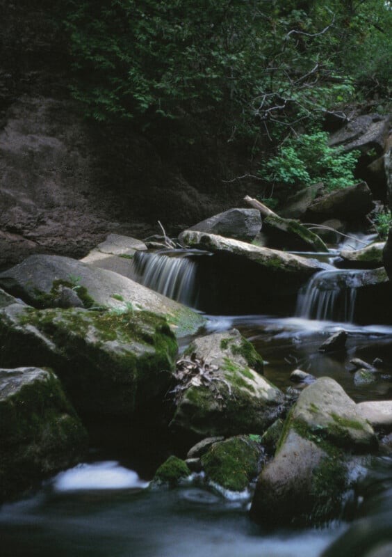 A quiet forest stream gently flows over moss-covered rocks and creates small waterfalls.  The surrounding vegetation is lush and green, adding to the scene's peaceful and natural atmosphere.