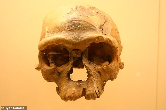 Scientists have reconstructed the oldest known Homo sapien skull found in Morocco, which was missing its lower jaw when it was discovered in 2017.