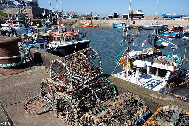 Seahouses in Northumberland is on the north east coast of England where holiday owners have seen rental profits rise by a third