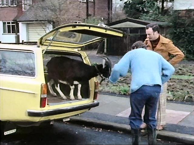 The spacious trunks of the cars often came in handy, as shown in The Good Life