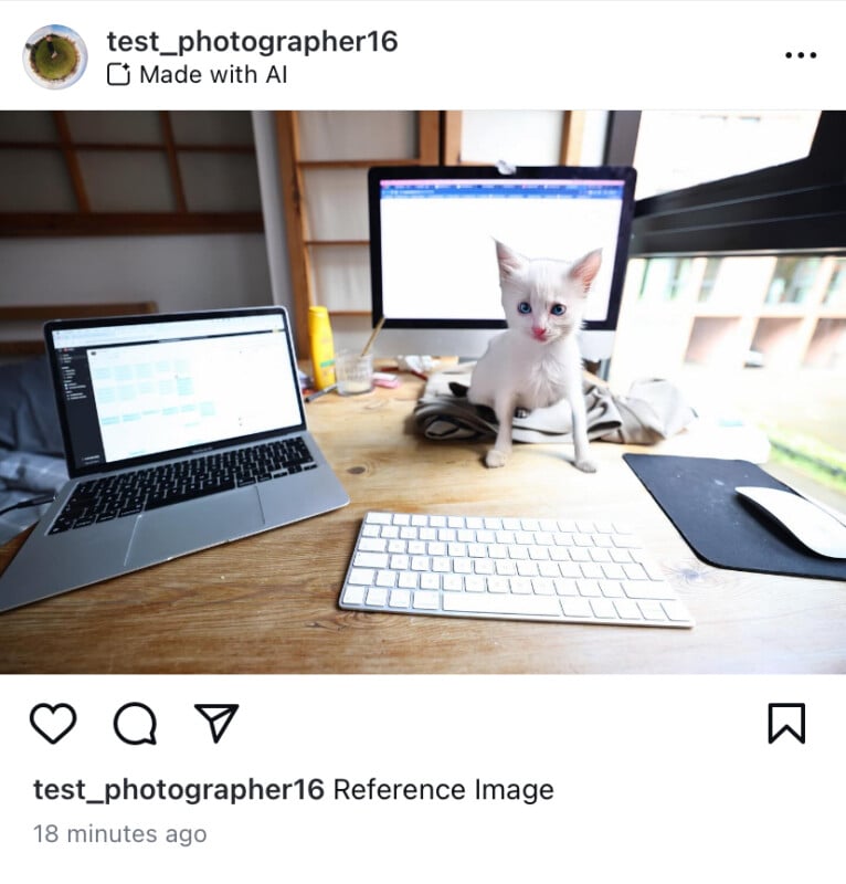 A small white kitten sits on a wooden table in front of two open laptops.  One notebook displays the coding interface.  There is also a keyboard and mouse on the table.  There is a window in the background.  Instagram username is test_photographer16.