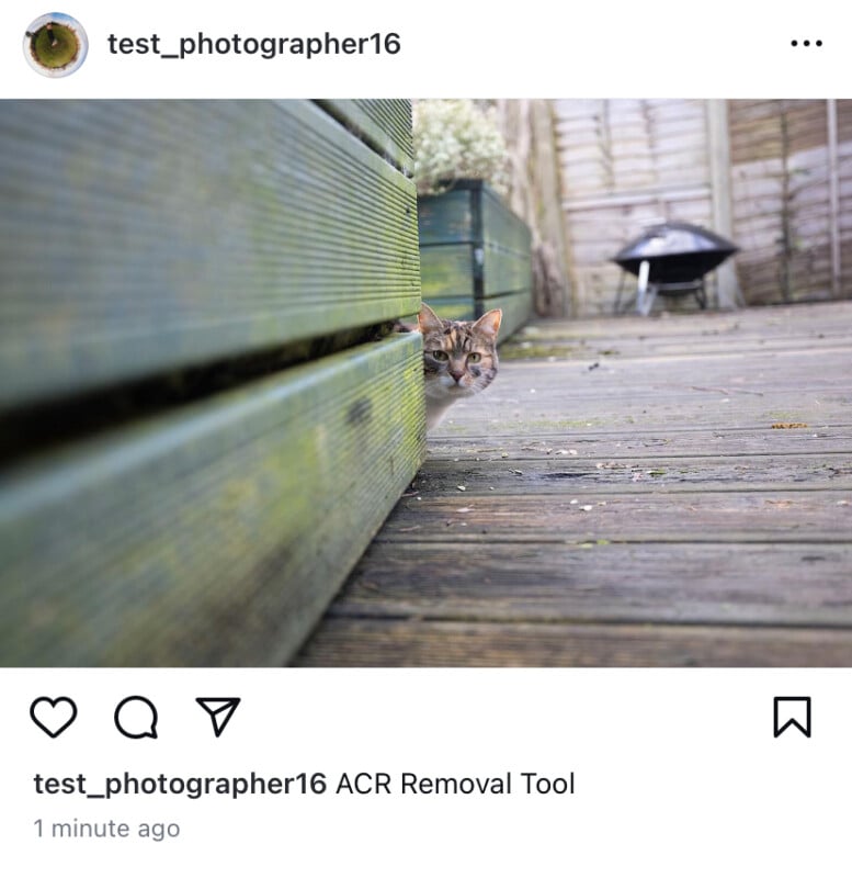 A cat with white, brown and black fur peeks out from around the corner of the wooden structure on the weathered deck.  A grill and a wooden fence can be seen in the background.  Instagram username "test_photographer16" will appear at the top.