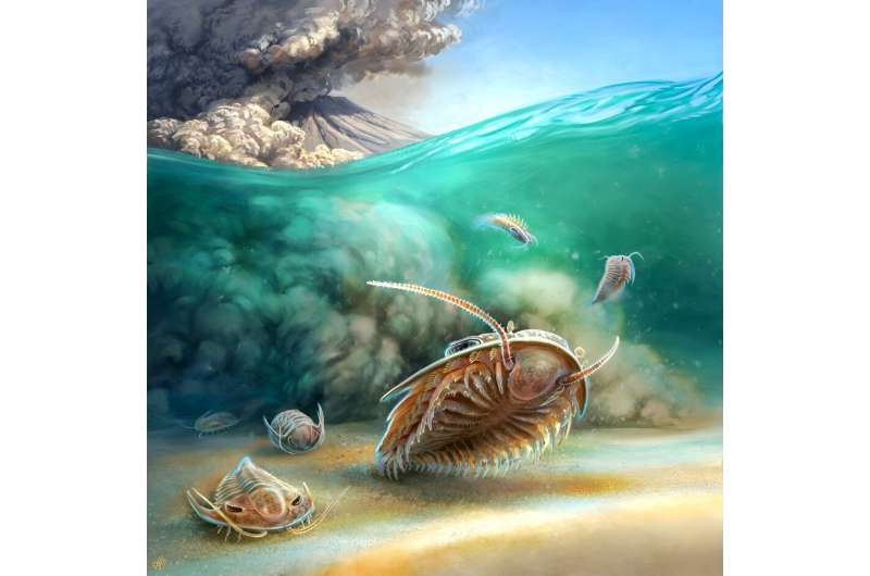 Prehistoric Pompeii discovered: Most intact trilobite fossils ever found shake up scientific understanding of long-extinct group