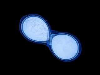 illustration of a neutron star merger