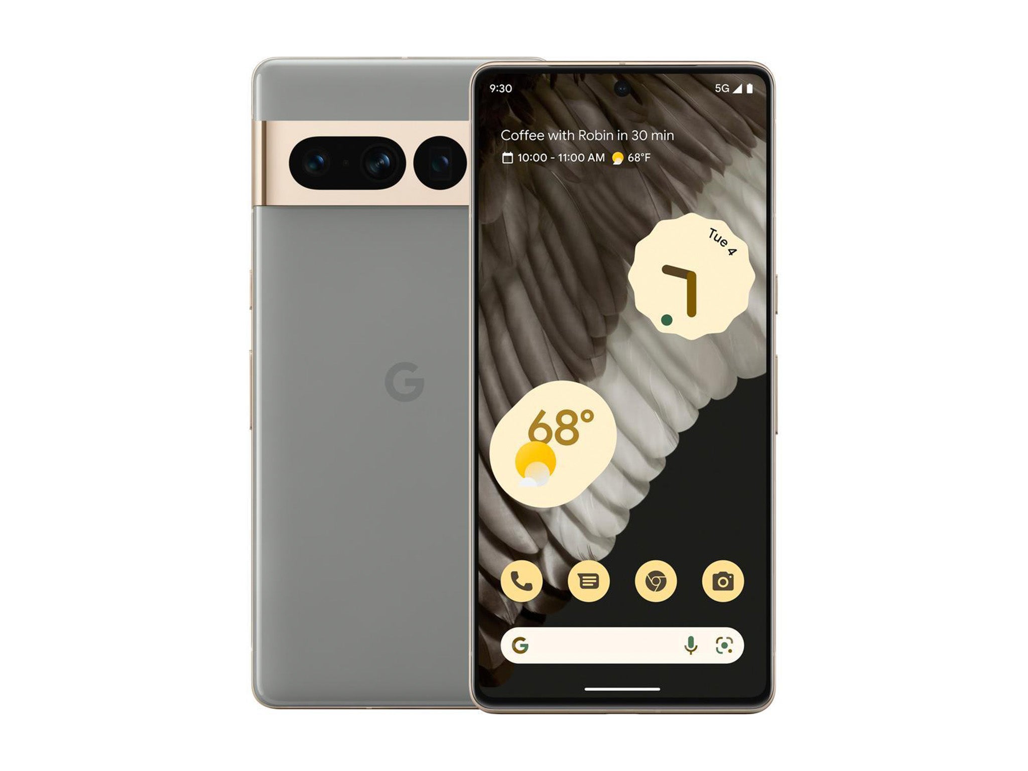 Pixel 9 is rumored to ditch the wide camera band (pictured: Pixel 8)