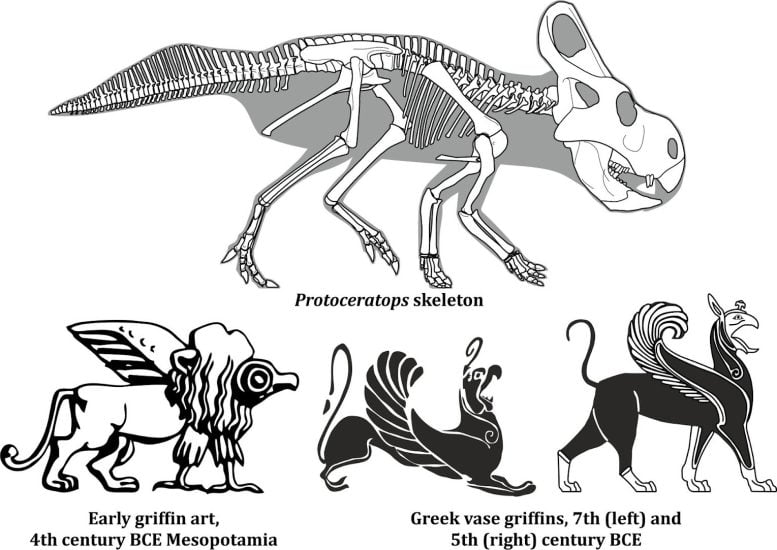 Protoceratops and the Ancient Griffin