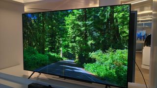 LG B4 OLED TV with a green forest on the screen