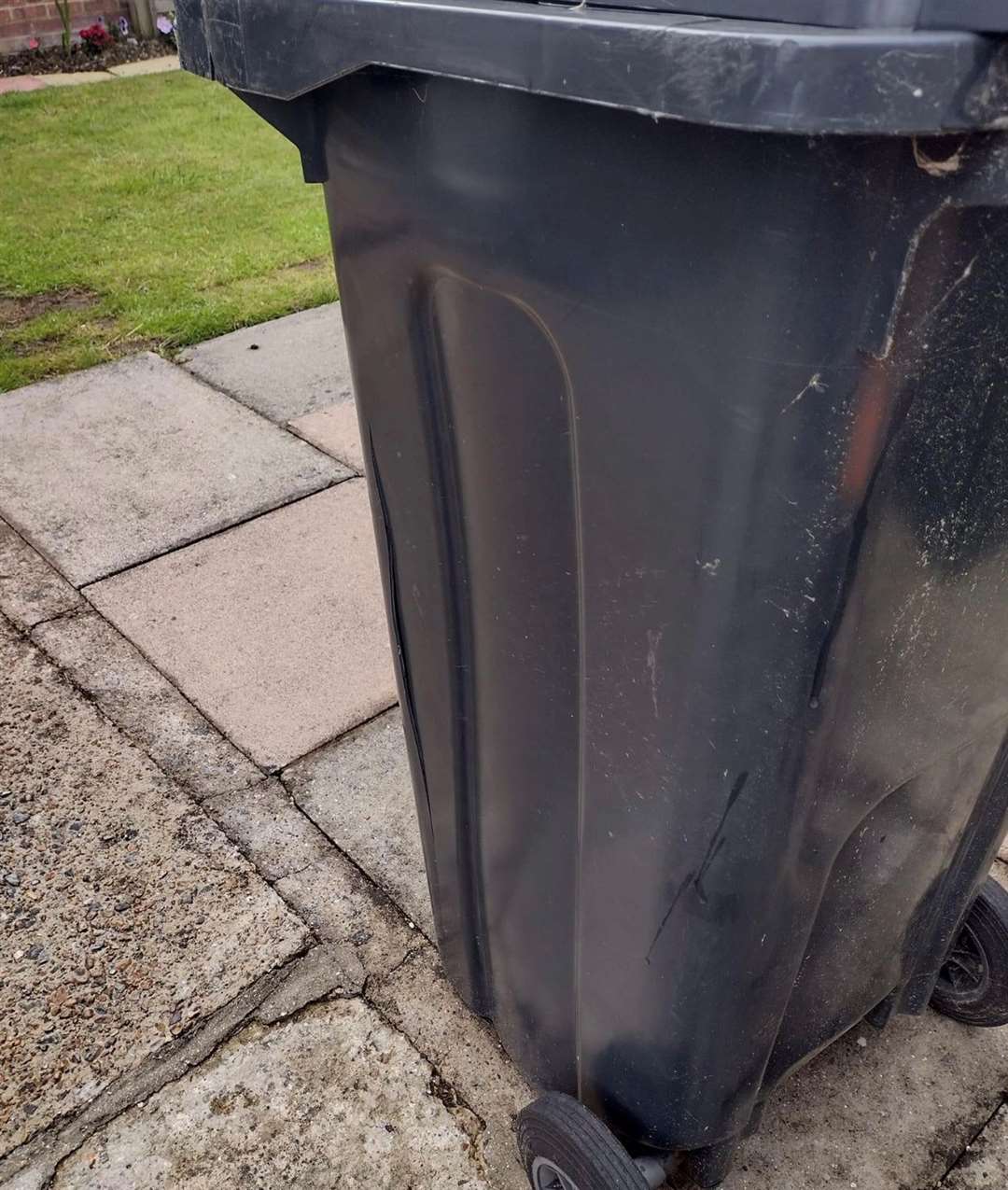 Trevor Watson says he has seen damage to his garden and his household bin this month