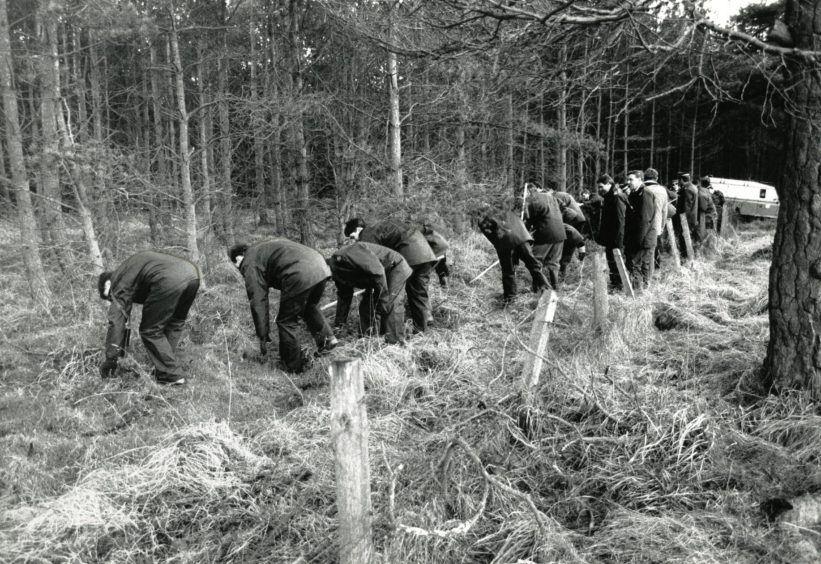 Police search Melville Woods after Lynda Hunter's body was discovered. 