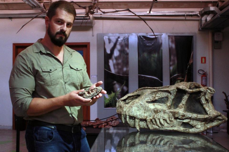 PHOTO: Paleontologist Rodrigo Müller holds fossils of Parvosuchus aurelioi, an ancient crocodile-like reptile found in Brazil.  (Janaina Brand Dillmann)