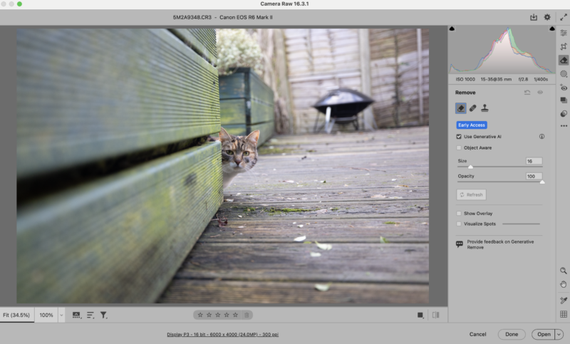 A curious cat peeks out from behind a wooden fence on a shabby deck.  The image is edited in Camera Raw using the various adjustment sliders and editing tools visible on the right side of the screen.  A barbecue grill is blurred in the background.