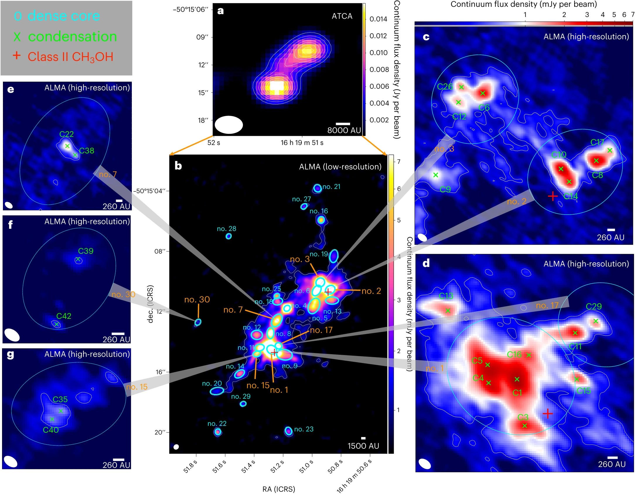                                 Description: A series of images representing the birth of stars and different types of stars.