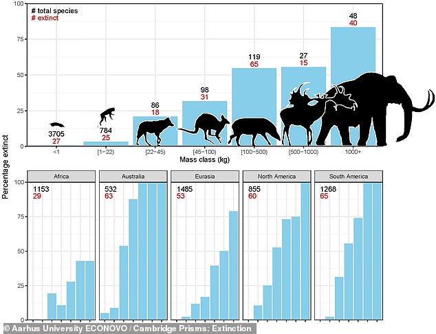 The researchers noted that 40 of the 48 known large mammals became extinct during this period (top right of the graph), while only a smaller and smaller percentage of each lower 