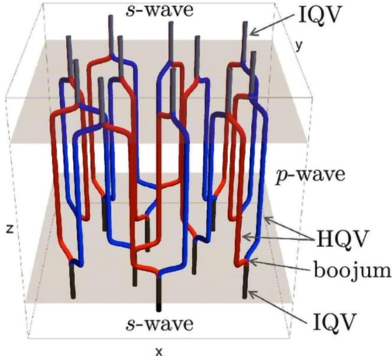 3D Quantum Vortex Network Configuration