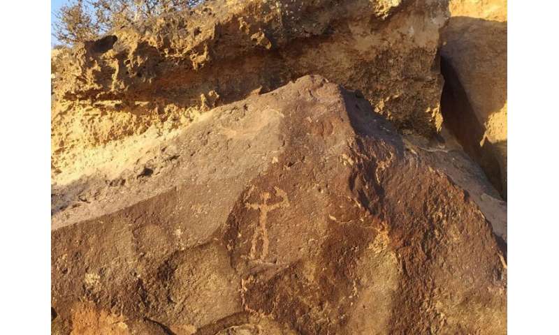 Desert fungi and lichens pose a deadly threat to 5,000-year-old rock art