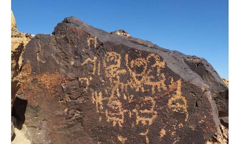 Desert fungi and lichens pose a deadly threat to 5,000-year-old rock art