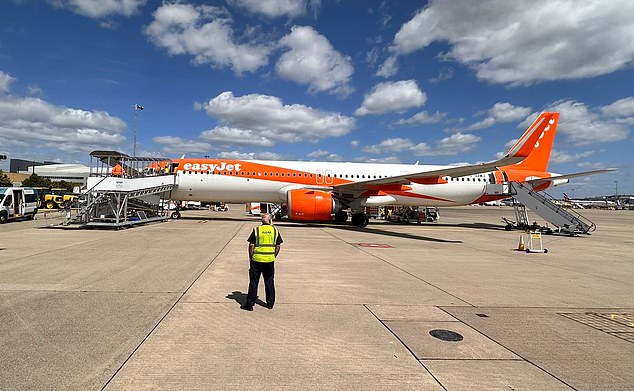 Brian was finally able to leave the plane (pictured) around 11:45 a.m. after more than an hour on the tarmac