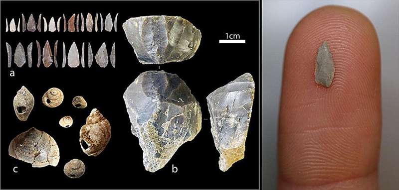 An ancient volcanic eruption is not the key to the early cultural innovations of Homo sapiens