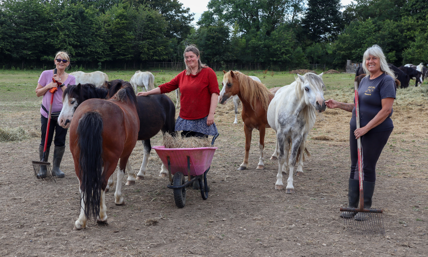 GIDDY UP: Cecil's Horse Sanctuary has received a major financial boost