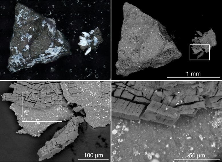 Sample Microscope Images of Asteroid Bennu