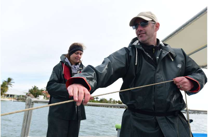 Restored oyster reserves host more marine life