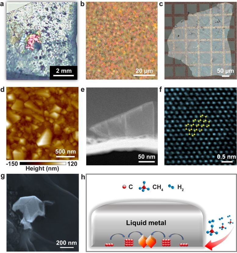 Diamond growth in a liquid metal alloy under 1 atmospheric pressure