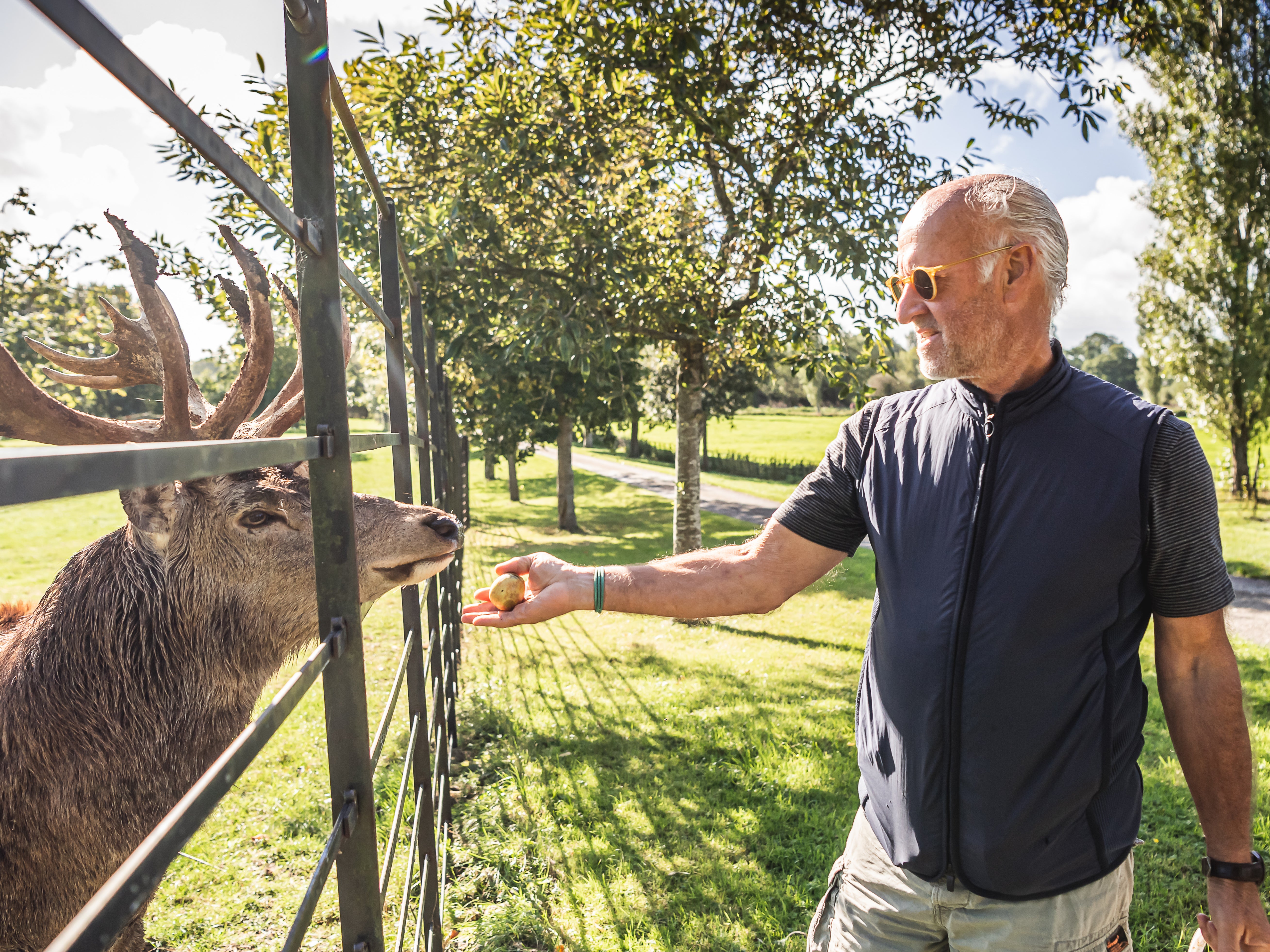 Deer me: Saul at his Sharpham Hall estate