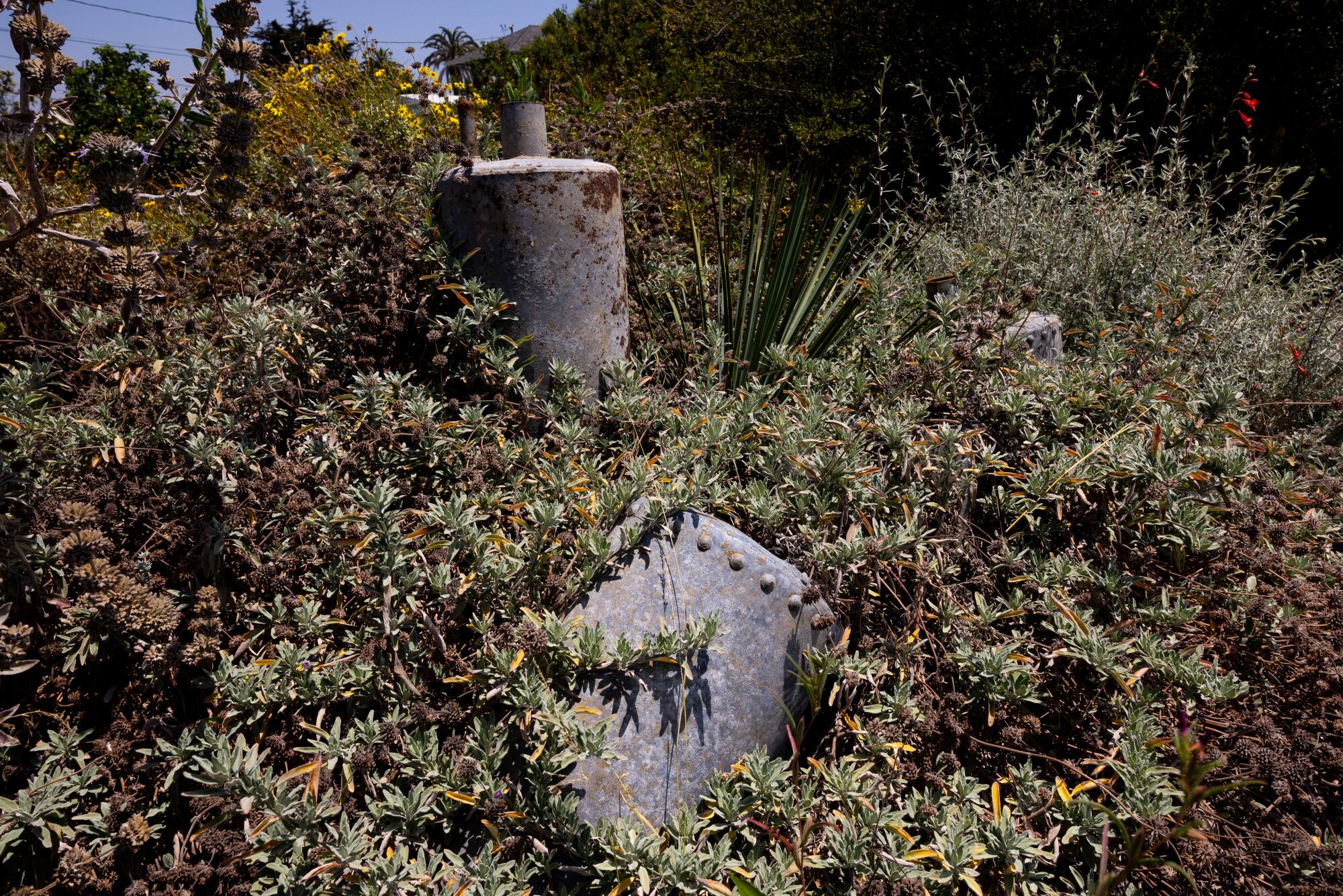 Many of the metal objects in the yard have been overtaken by plant growth.