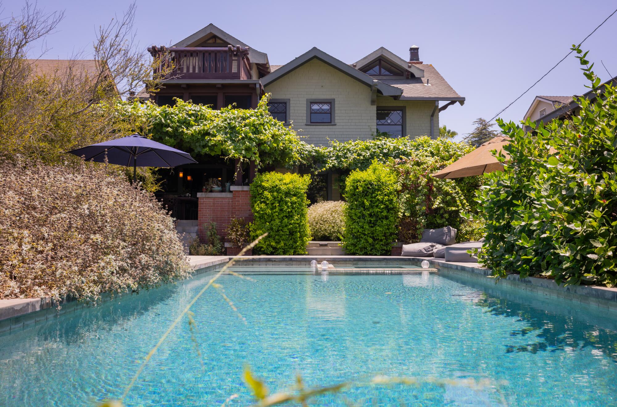 A view of the backyard with a large pool and lots of plants.