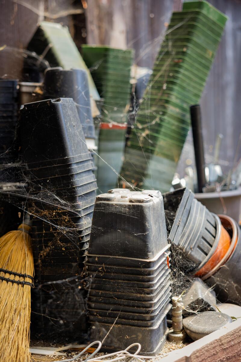 Plastic flower pots collect cobwebs on a shelf in the yard.