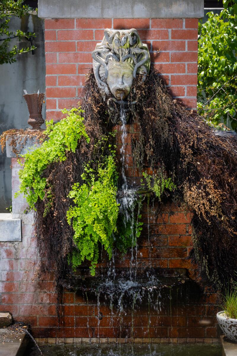 A fountain with a relief of Medusa's head flows into the koi pond in the backyard.