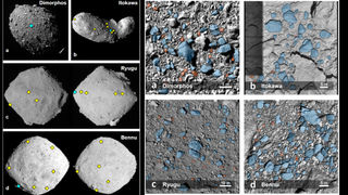 Comparison of rocks on Dimorphos, Itokawa, Ryugu and Bennu