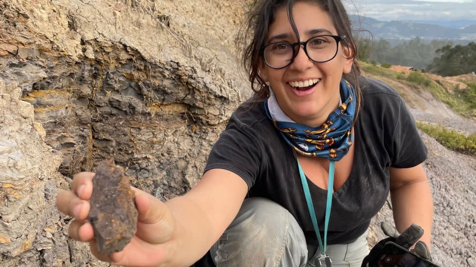 Mónica Carvalho is seen holding the newly discovered oldest grapes from the Western Hemisphere at an excavation site in Colombia.  - Fabiana Herrera