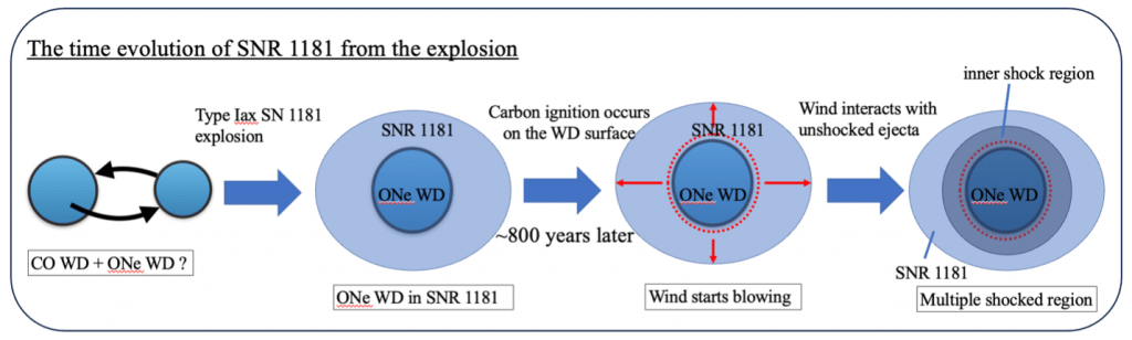   The evolution of SNR 1181. This illustration charts the evolution of the remnant of SNR 1181, from its formation when a carbon-oxygen white dwarf and an oxygen-based white dwarf merged in a kilonova, to the formation of its two shock regions.  © 2024 T. Ko